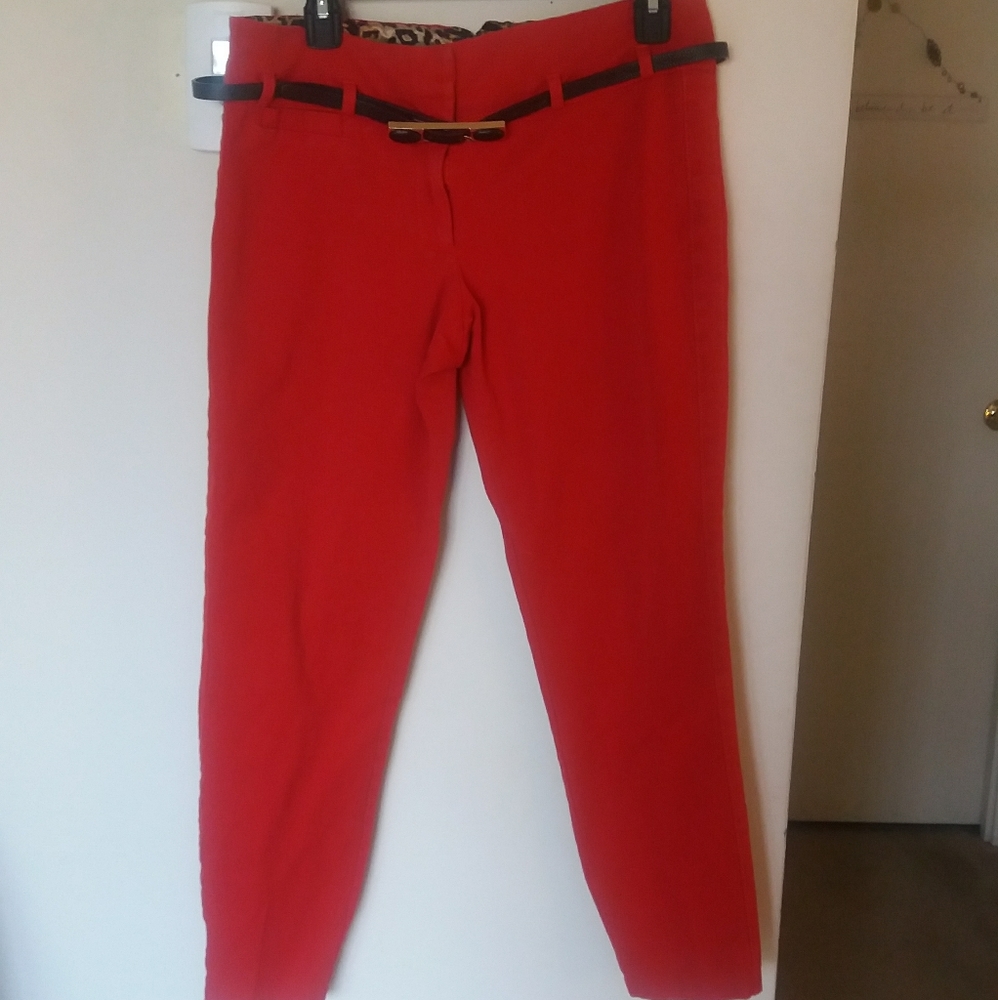 Cropped pants - Picture 5 of 5